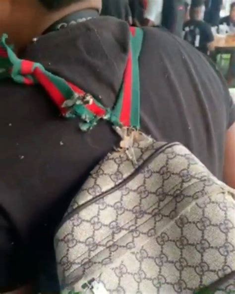 ripped gucci bag meme.